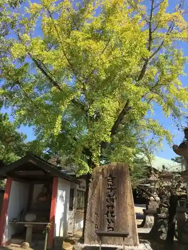 遍照院のその他建物