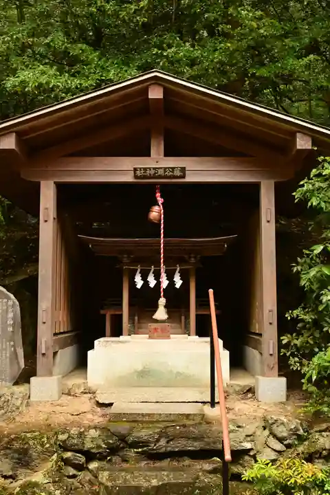 宝登山神社(埼玉県)