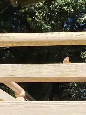 石上布都魂神社(岡山県)