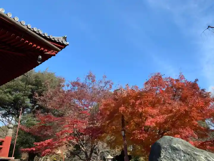 清水観音堂の自然