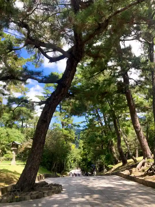 出雲大社(島根県)