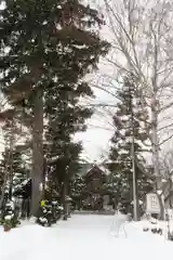 西野神社の本殿