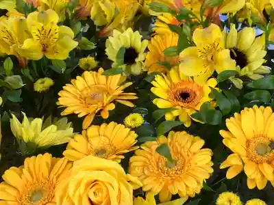 住吉神社の手水舎