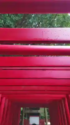 津島神社の鳥居