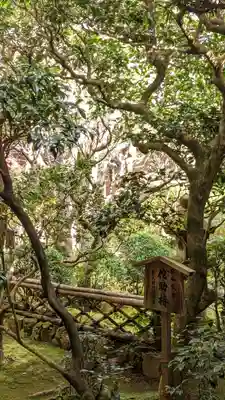 龍安寺(京都府)