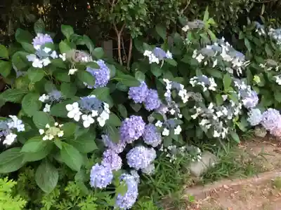 仲村神社の自然