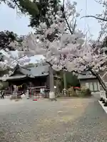 牟呂八幡宮の自然