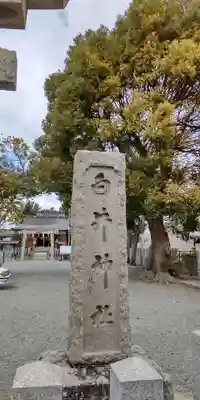 白井神社(兵庫県)