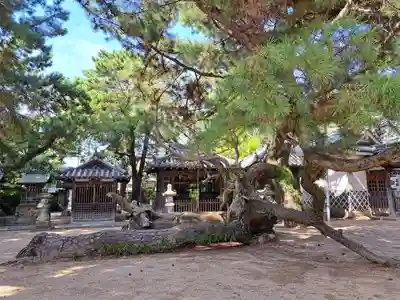 高砂神社(兵庫県)