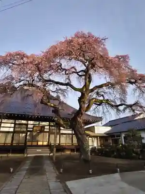相応寺(福島県)