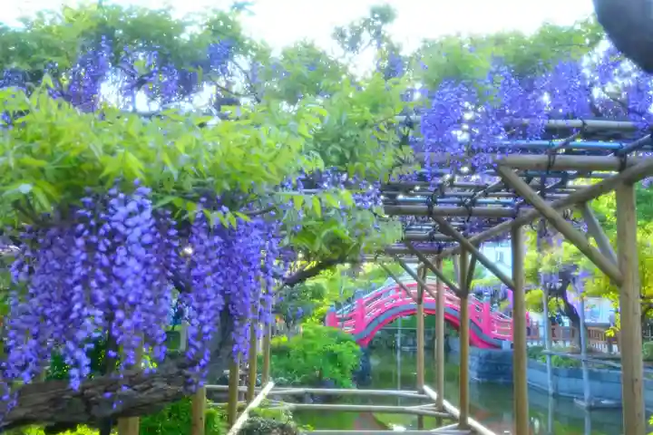 亀戸天神社(東京都)