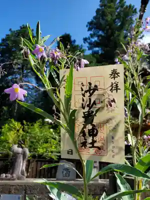 季節の花御朱印 瑠璃柳と御祭神名