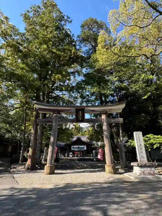 土佐神社の{uncategorized: "未分類", other: "その他", undefined: "問題あり", building: "その他建物", grave: "お墓", sacred_gate: "鳥居", guardian: "狛犬", statue: "像", buddha: "仏像", history: "歴史", nature: "自然", garden: "庭園", animal: "動物", pagoda: "塔", temizu: "手水舎", mountain_gate: "山門・神門", sanctuary: "本殿・本堂", subordinate: "末社・摂社", art: "芸術", scenery: "景色", jizo: "地蔵", ema: "絵馬", goshuin: "御朱印", omikuji: "おみくじ", items: "授与品その他", amulet: "お守り", goshuincho: "御朱印帳", eats: "食事", festival: "お祭り", votive_dance: "神楽", shichigosan: "七五三参", wedding: "結婚式", experience: "体験その他", initially: "初詣", around: "周辺", anti_infection: "感染症対策"}