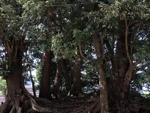 八日市普活廼神社(福井県)