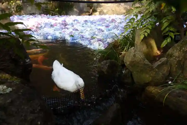 楽法寺(雨引観音)(茨城県)