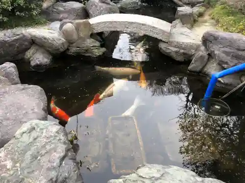 尾張猿田彦神社の庭園