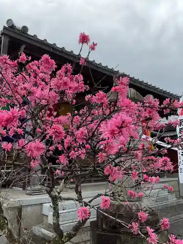 来昌寺(岐阜県)