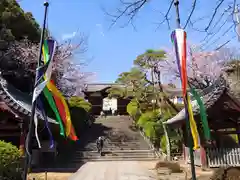 護国寺(東京都)