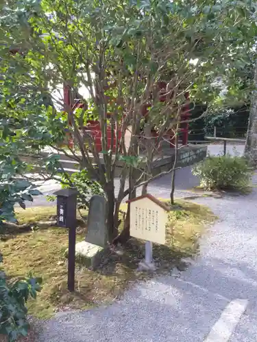 伊豆山神社の自然