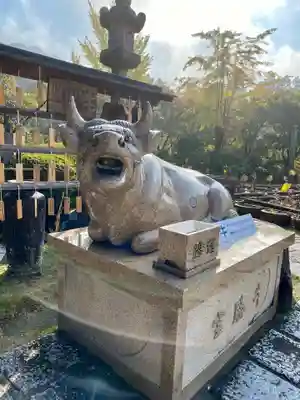 三室戸寺の狛犬
