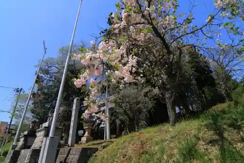 春日神社の庭園