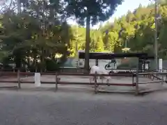 丹生川上神社（下社）(奈良県)