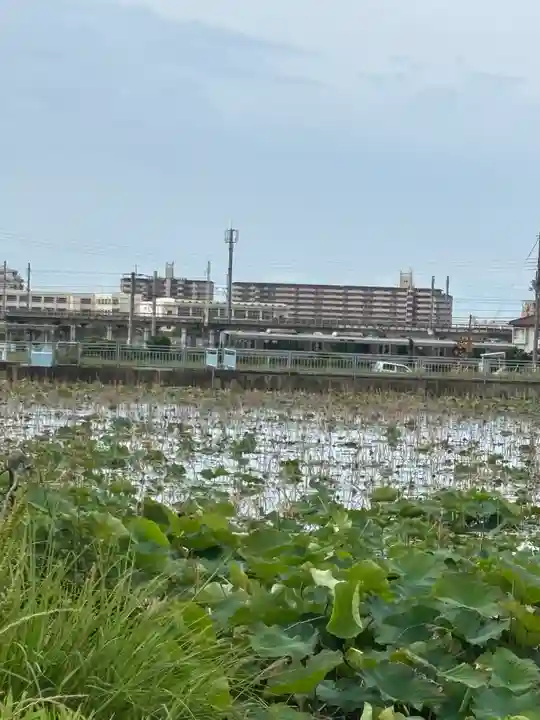 住吉神社(兵庫県)