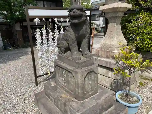 白鬚神社の狛犬