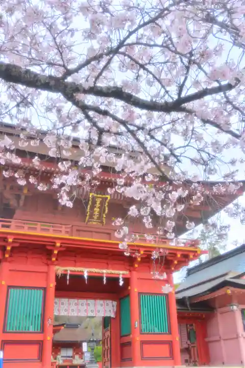 富士山本宮浅間大社(静岡県)