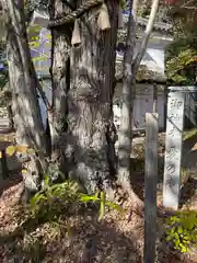 梨木神社の自然