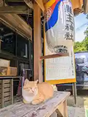 縣主神社(岡山県)