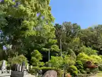 圓蔵寺のその他建物