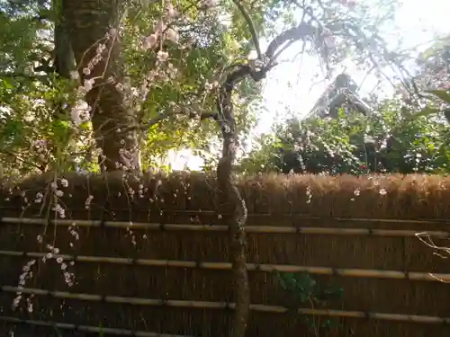 荏柄天神社の自然