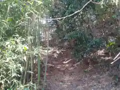 御嶽神社/駒形神社の自然