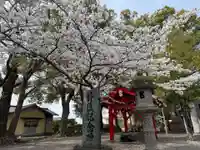 美奈宜神社(福岡県)