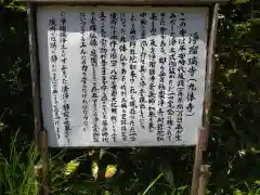 浄瑠璃寺(京都府)