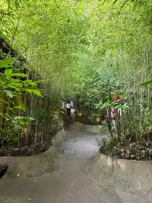 來宮神社(静岡県)