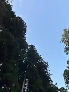 大宮温泉神社(栃木県)(2023年10月22日(日) 13時50分41秒投稿)