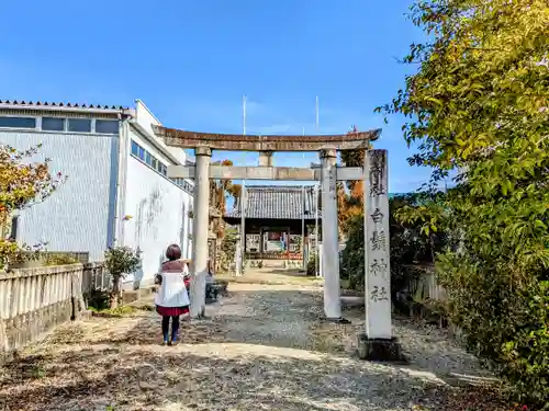 白鬚神社の鳥居