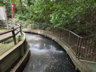 厳島神社(弁天社)(埼玉県)