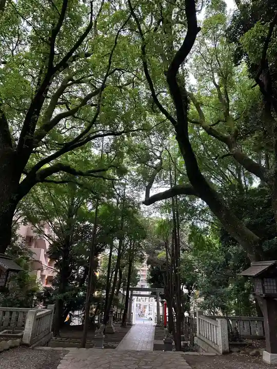 洲崎大神(神奈川県)