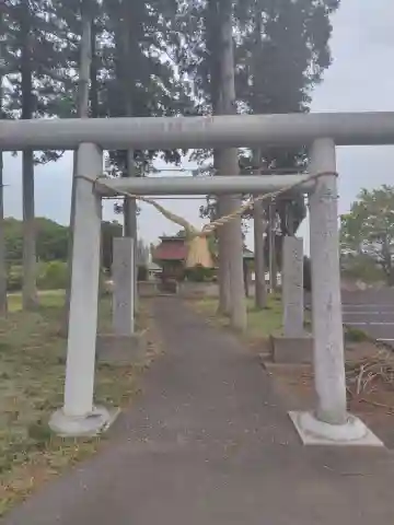 若宮八幡宮 大杉神社(茨城県)