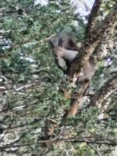 茂岩神社(北海道)