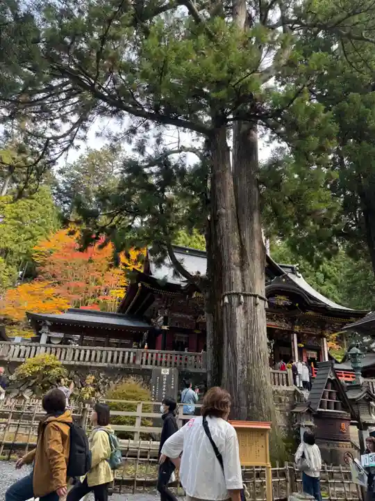 三峯神社(埼玉県)