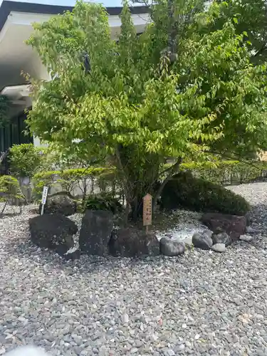 秋葉山本宮 秋葉神社 上社(静岡県)