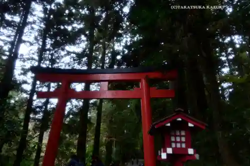 箱根神社(神奈川県)