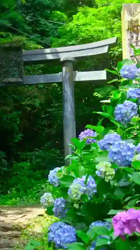 太平山神社の鳥居