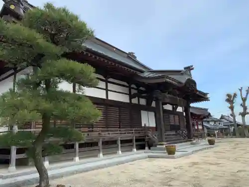 千妙寺の本殿・本堂