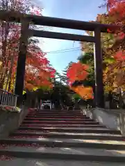 北広島市総鎮守　廣島神社の鳥居