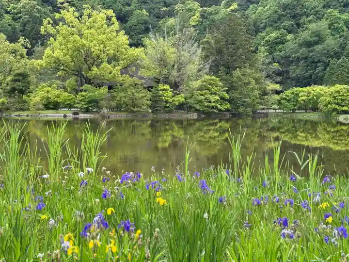 白水阿弥陀堂の庭園